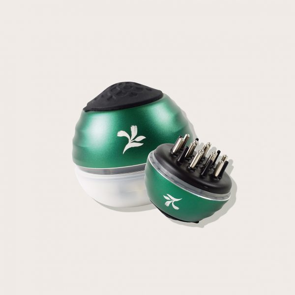 Tonic Applicator Brush - Bee Choo Origin Malaysia